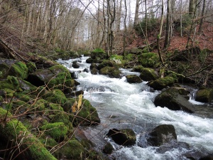 Kleines Bodetal
